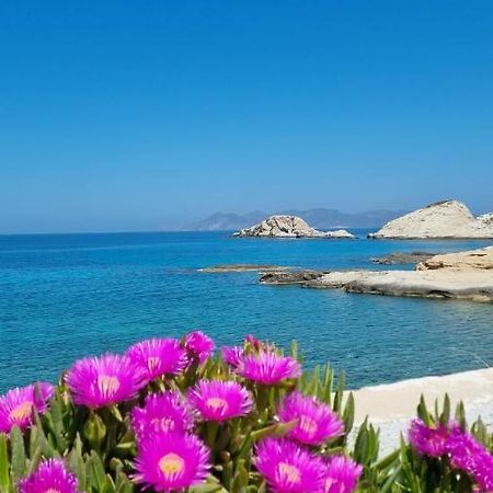 Anassa Milos House Mandrakia エクステリア 写真